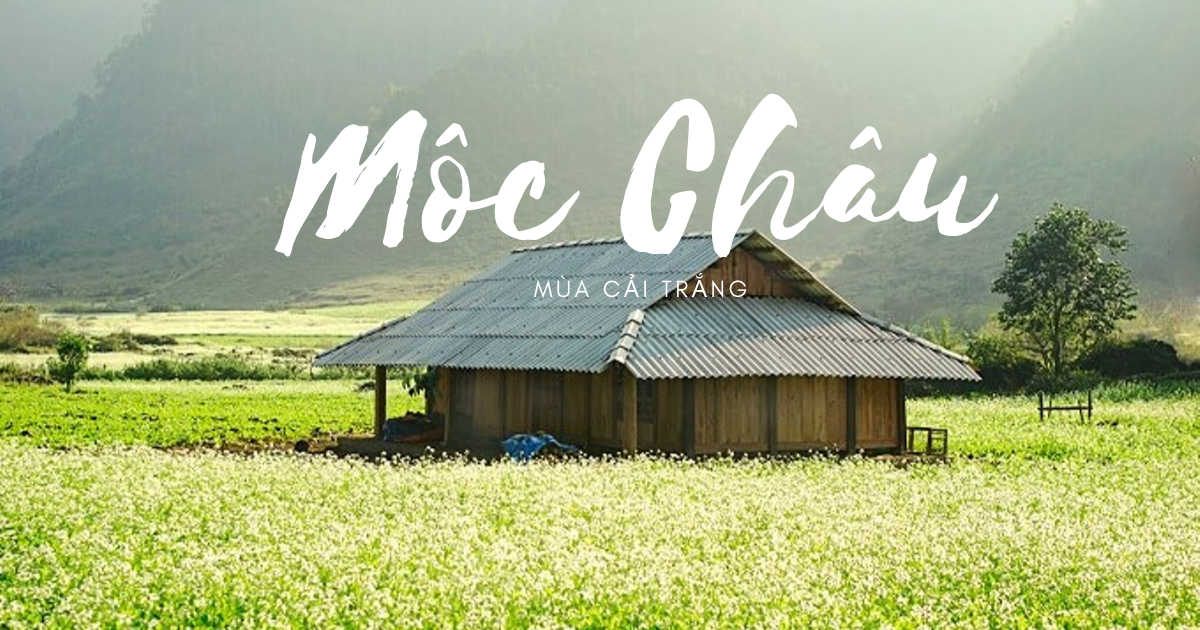 TOP các địa điểm tham quan du lịch đẹp nổi tiếng tại Sơn La