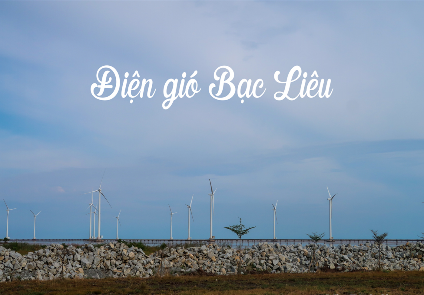 Những địa điểm check-in nổi tiếng bạn phải ghé qua khi du lịch ở Bạc Liêu