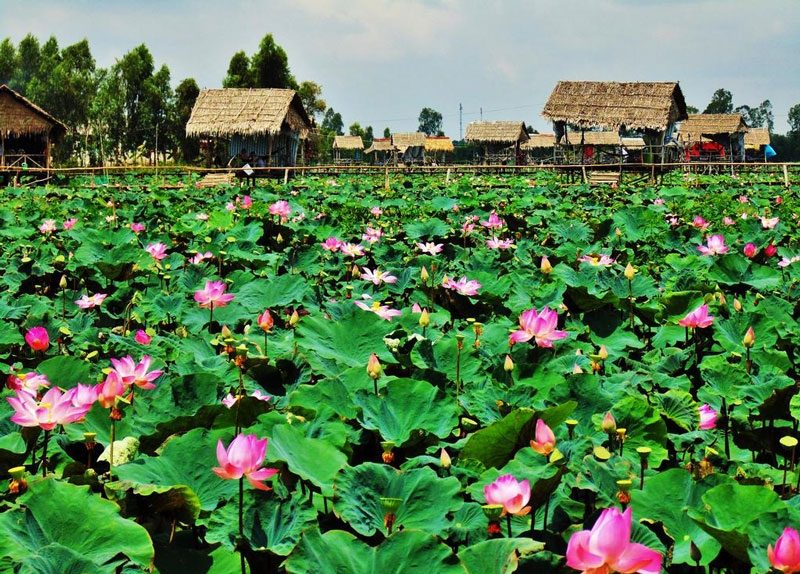 UPDATE Bảng Giá Vé Tham Quan Tại Đồng Tháp mới nhất.