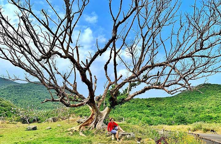 UPDATE Bảng Giá Vé Tham Quan Tại Phú Yên mới nhất.