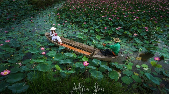 khu-du-lich-sinh-thai-dong-thap-muoi