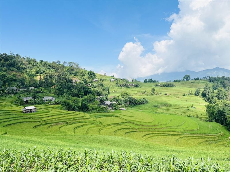 Review Những Mùa Hoa Đẹp Nhất Hà Giang Review Những Mùa Hoa Đẹp Nhất Hà Giang