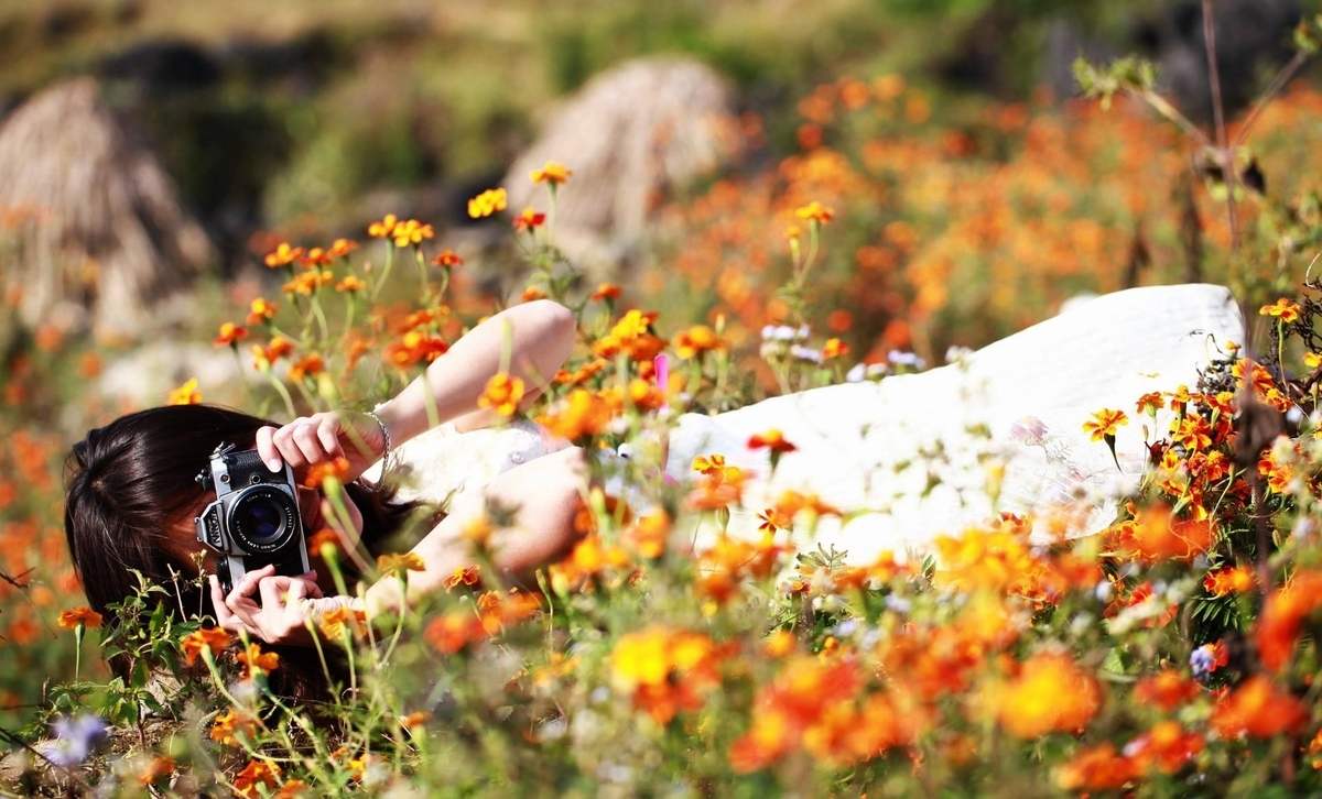 Review Những Mùa Hoa Đẹp Nhất Hà Giang Review Những Mùa Hoa Đẹp Nhất Hà Giang