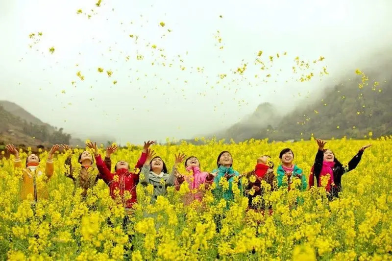 Review Những Mùa Hoa Đẹp Nhất Hà Giang Review Những Mùa Hoa Đẹp Nhất Hà Giang