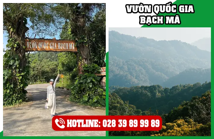 Vườn Quốc Gia Bạch Mã Huế