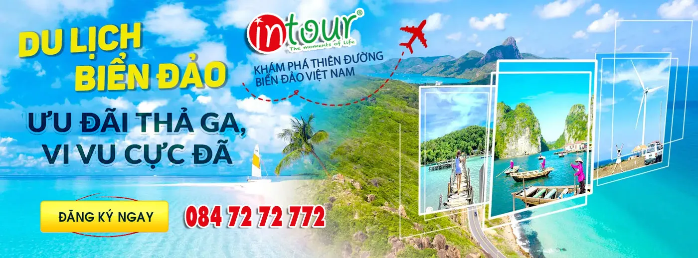 Hình ảnh 3