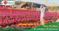Tour Du Lịch Đà Lạt 2 Ngày 1 Đêm