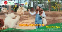 Tour Du Lịch Nha Trang - Đà Lạt 5 Ngày 4 Đêm