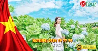 Tour Du Lịch Đà Lạt 2 Ngày 1 Đêm Lễ 30/4/2026