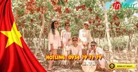Tour Du Lịch Ninh Chữ 2 Ngày 2 Đêm Lễ 30/4/2026