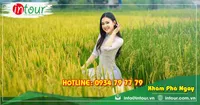 Tour Du Lịch Ninh Bình - Phú Quốc - Miền Tây 6 Ngày 5 Đêm Năm 2026