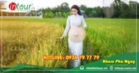 Tour Du Lịch Sơn La - Châu Đốc - Hà Tiên - Cần Thơ 4 Ngày 3 Đêm Năm 2026