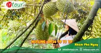 Tour Du Lịch Nam Định - Châu Đốc - Hà Tiên - Cần Thơ 4 Ngày 3 Đêm Năm 2026