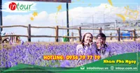 Tour Du Lịch Hà Nội - Đà Lạt 3 Ngày 2 Đêm Năm 2026