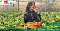 Tour Du Lịch Team Building Đà Lạt khởi hành từ Hậu Giang 3 Ngày 3 Đêm Năm 2026
