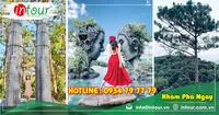 Tour Du Lịch Thái Nguyên - Nha Trang - Đà Lạt 4 Ngày 3 Đêm Năm 2026