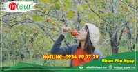 Tour Du Lịch Quảng Nam - Nha trang - Đà Lạt 4 Ngày 3 Đêm Năm 2026
