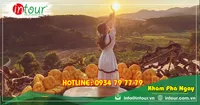 Tour Du Lịch Bắc Giang - Đà Lạt 3 Ngày 2 Đêm Năm 2026