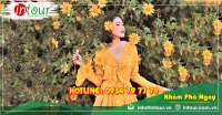 Tour Du Lịch Bà Rịa - Vũng Tàu - Phan Thiết - Đà Lạt 4 Ngày 3 Đêm Năm 2025