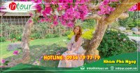Tour Du Lịch Team Building Đà Lạt khởi hành từ Bến Tre 3 Ngày 3 Đêm Năm 2025