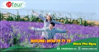 Tour Du Lịch Bình Phước - Nha Trang - Đà Lạt 4 Ngày 4 Đêm Năm 2026