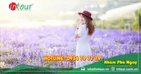 Tour Du Lịch Châu Đốc - Nha Trang - Đà Lạt 4 Ngày 4 Đêm Năm 2026
