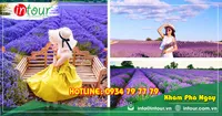 Tour Du Lịch Team Building Đà Lạt khởi hành từ Châu Đốc 3 Ngày 3 Đêm Năm 2026