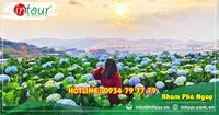 Tour Du Lịch Team Building Bình Phước đi Đà Lạt 3 Ngày 3 Đêm Năm 2026