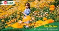 Tour Du Lịch Thanh Hóa - Đà Lạt 3 Ngày 2 Đêm Năm 2026