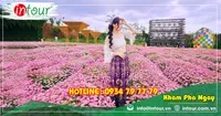 Tour Du Lịch Thanh Hóa đi Nha trang - Đà Lạt 4 Ngày 3 Đêm Năm 2026
