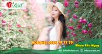 Tour Du Lịch Bình Dương - Nha Trang - Đà Lạt 4 Ngày 4 Đêm Năm 2026