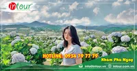 Tour Du Lịch Đà Lạt khởi hành từ Bình Thuận 2 Ngày 1 Đêm Năm 2026
