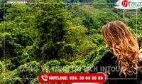Tour Du Lịch Thái Nguyên - Đà Nẵng - Hội An - Bà Nà - Huế - Phong Nha 4 Ngày 3 Đêm Năm 2026