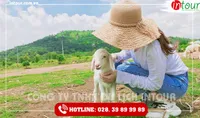 Tour Du Lịch Nam Định - Bình Châu- Vũng Tàu 3 Ngày 2 Đêm Năm 2026