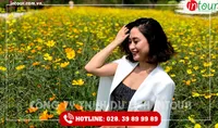 Tour Du Lịch Teambuilding Thái Nguyên - Bình Châu- Vũng Tàu 3 Ngày 2 Đêm Năm 2026