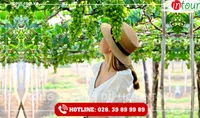 Tour Du Lịch Quảng Ngãi - Phan Thiết - Mũi Né 3 Ngày 2 Đêm Năm 2026