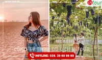 Tour Du Lịch Teambuilding Vĩnh Long đi Phan Thiết - Mũi Né 2 Ngày 1 Đêm Năm 2026