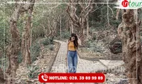 Tour Du Lịch Teambuilding Bình Thuận - Vũng Tàu 2 Ngày 1 Đêm Năm 2026
