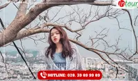 Tour Du Lịch Teambuilding - Galadinner Thừa Thiên Huế đi Vũng Tàu 2 Ngày 1 Đêm Năm 2026