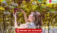 Tour Du Lịch Teambuilding Trà Vinh đi Ninh Chữ - Vĩnh Hy 3 Ngày 3 Đêm Năm 2026