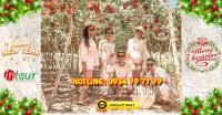 Tour Du Lịch Ninh Chữ Vĩnh Hy 2 Ngày 2 Đêm Tết Dương Lịch 2026