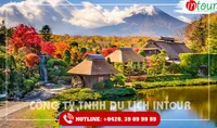 Tour Du Lịch Nhật Bản Tokyo - Hakone - Fuji - Odaiba 4 Ngày 4 Đêm 2026