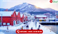Tour Du Lịch Nhật Bản - Osaka - Kyoto - Kobe 4 Ngày 3 Đêm 2026