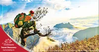 Tour Du Lịch Động Thiên Đường - Đỉnh Núi U Bò 1 Ngày
