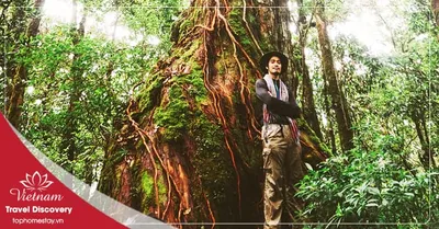 Tour Trekking Vườn Quốc Gia Bidoup 3 Ngày 2 Đêm Năm 2026
