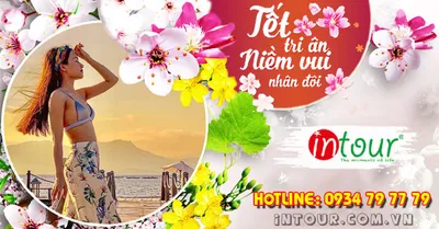 Tour Du Lịch Ninh Chữ Vĩnh Hy 2 Ngày 2 Đêm Tết Nguyên Đán 2027