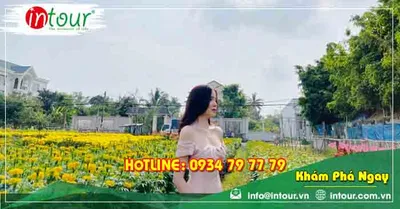 Tour Du Lịch Huế - Phú Quốc - Miền Tây 6 Ngày 5 Đêm Năm 2026