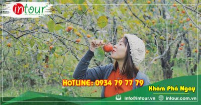 Tour Du Lịch Quảng Nam - Nha trang - Đà Lạt 4 Ngày 3 Đêm Năm 2025