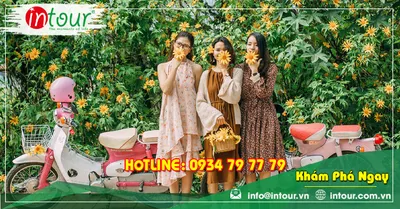 Tour Du Lịch Bắc Ninh - Đà Lạt 3 Ngày 2 Đêm Năm 2026