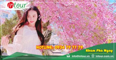 Tour Du Lịch Nam Định - Nha Trang - Đà Lạt 4 Ngày 3 Đêm Năm 2025